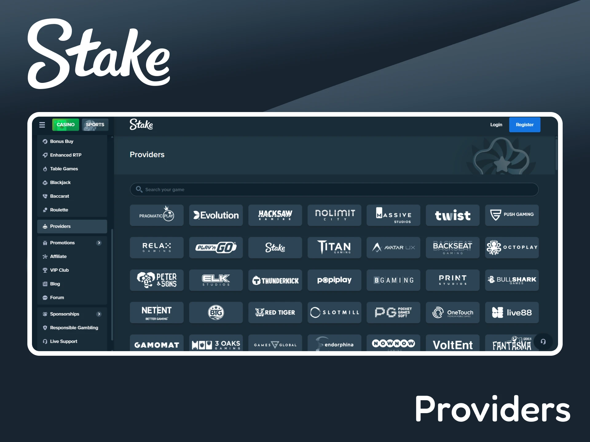 Check out the game providers on the Stake website.