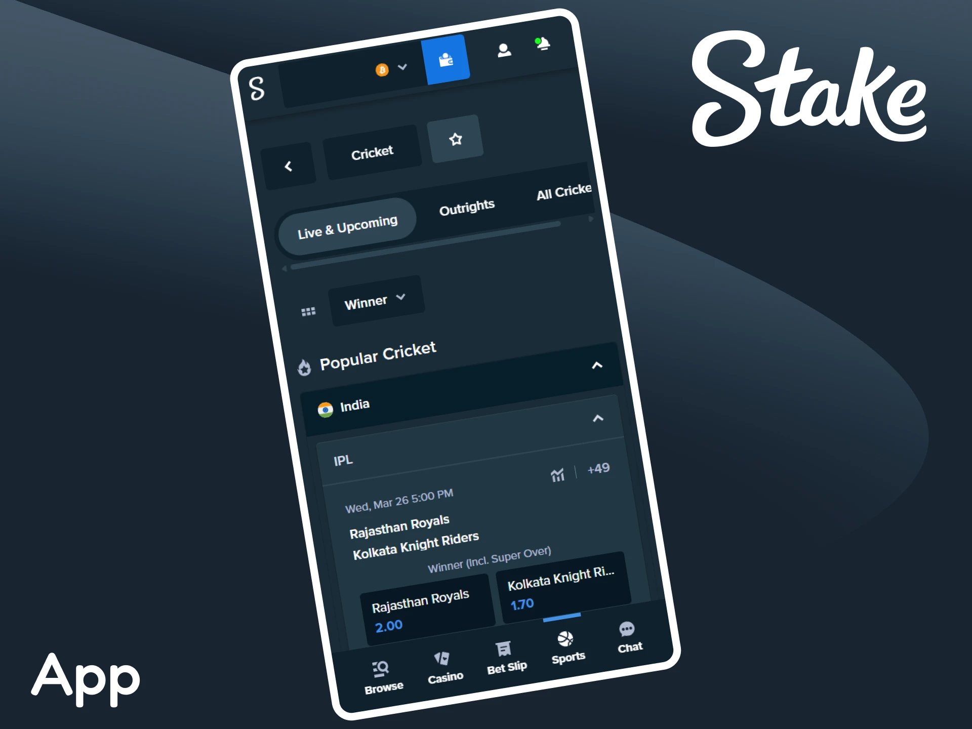 Bet on cricket matches on the Stake app.