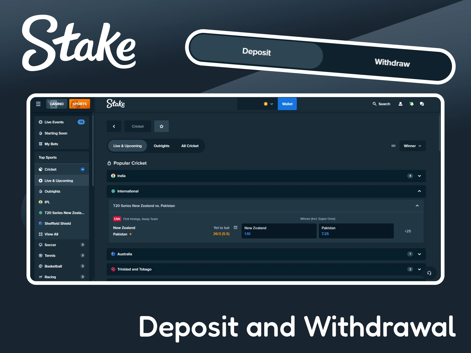 Learn how to deposit and withdraw funds from your Stake account.