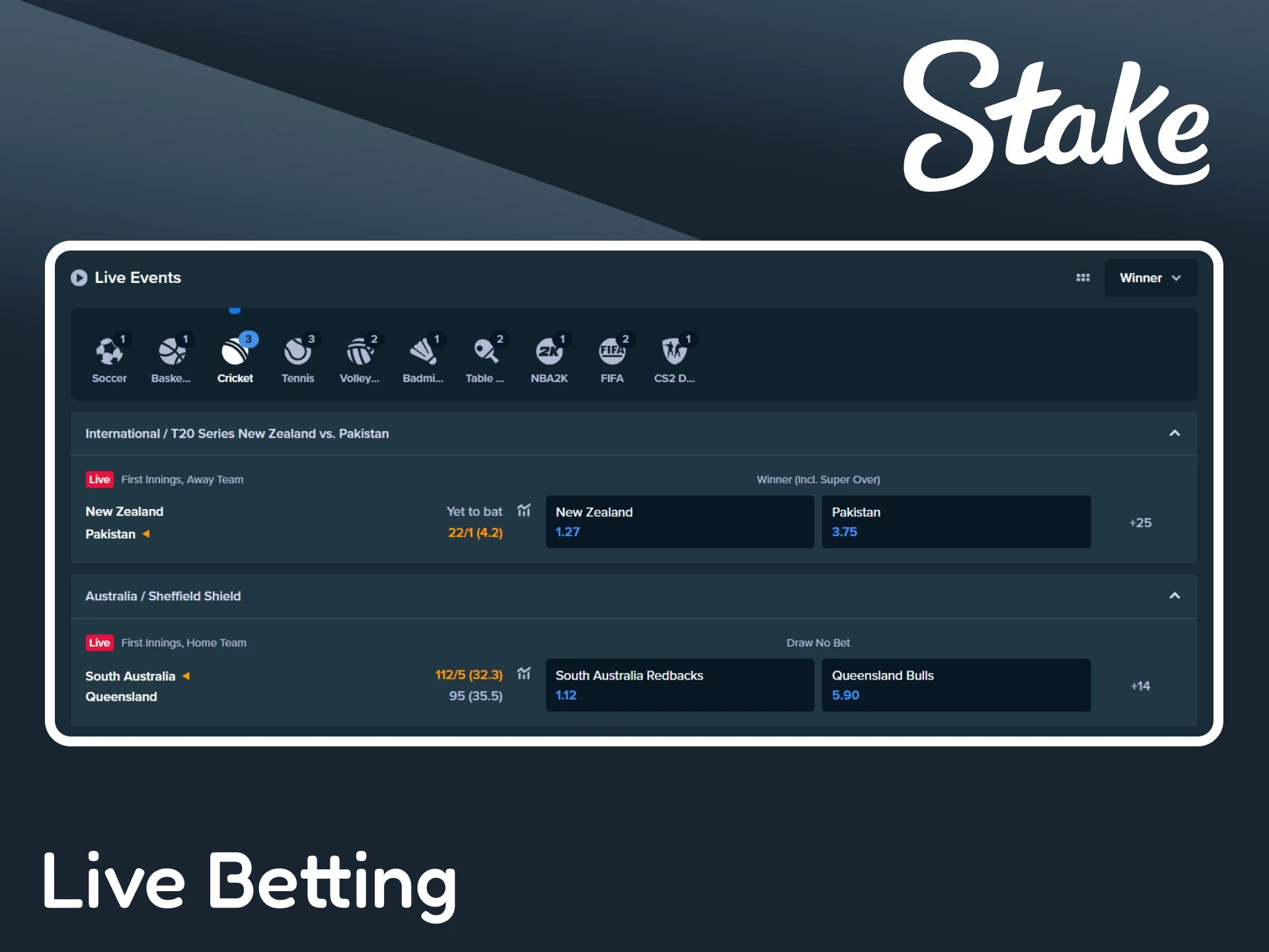 Place cricket bets in real-time on the Stake platform.