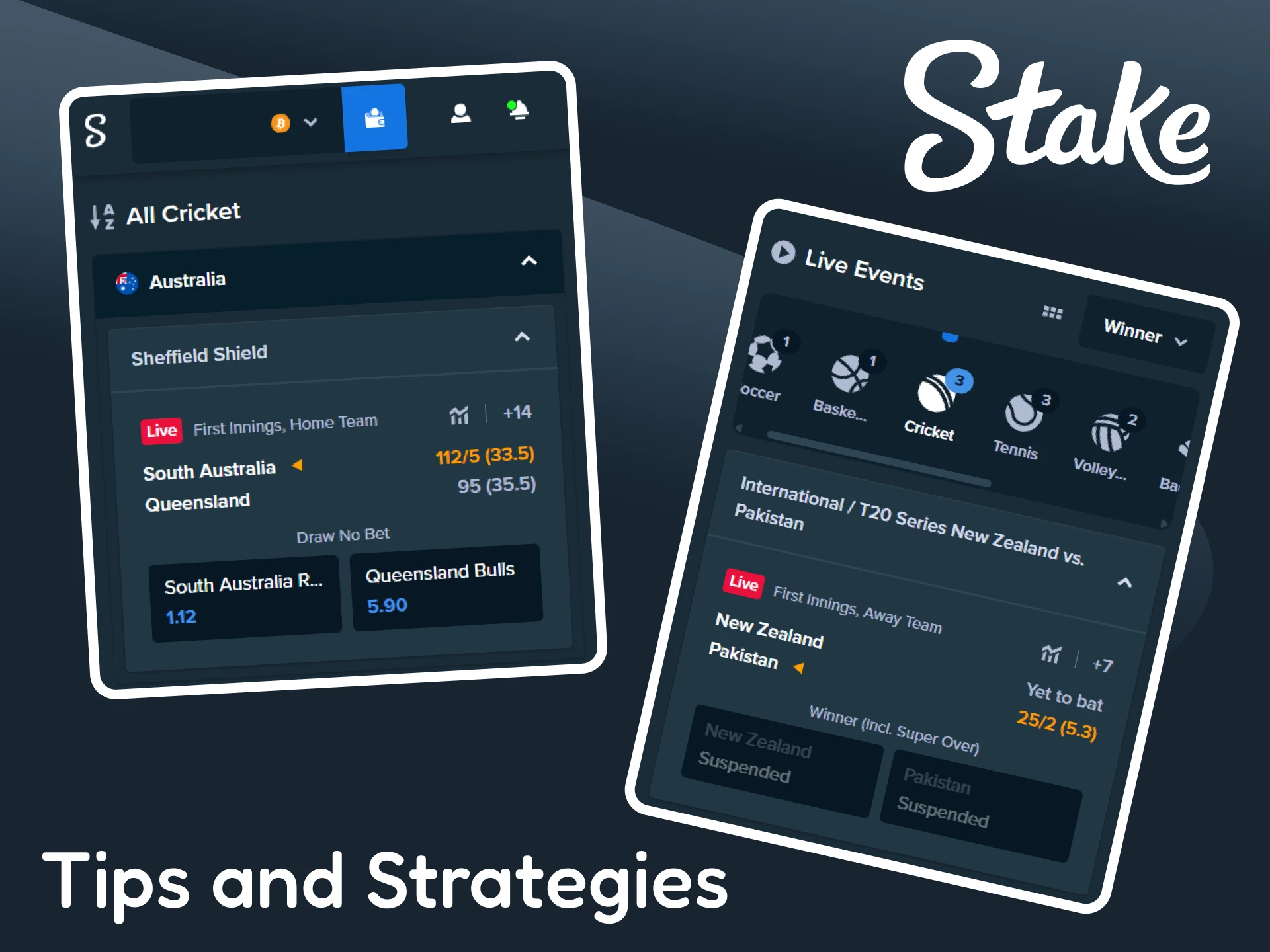 Check out tips and strategies for cricket betting at Stake.