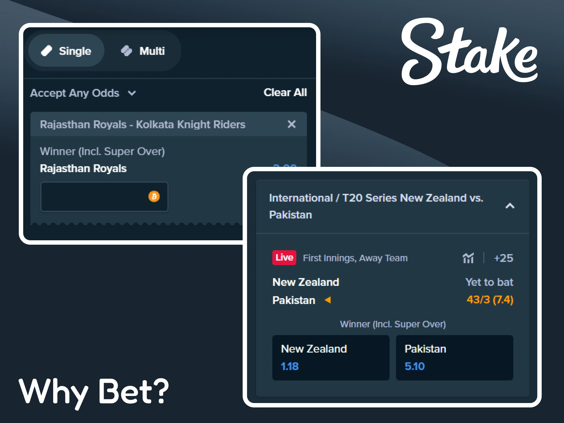 Find out why bet on cricket at Stake.